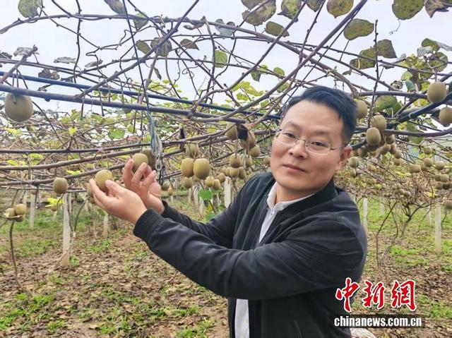 行走江河看中国丨丹江口杏花村的“杏福”蜕变记