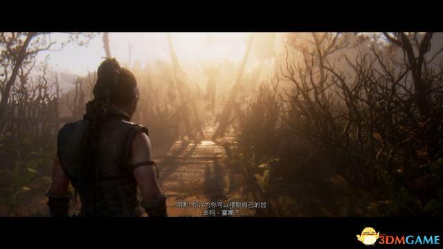 《地狱之刃2：塞娜的献祭》全剧情流程攻略 全收集全章节解密