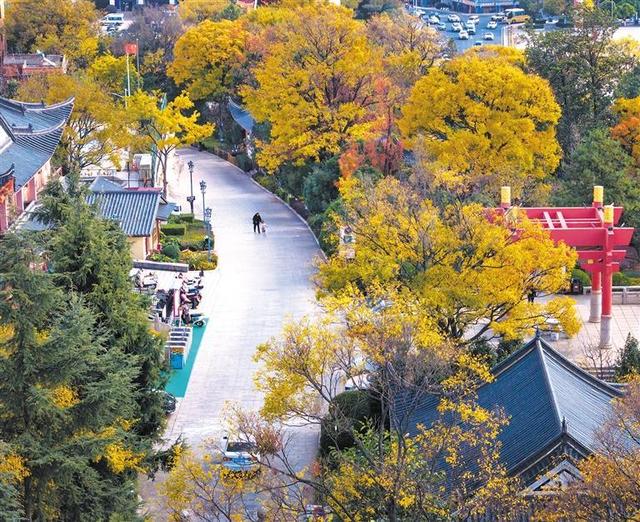 曲靖：光影流转 冬韵如诗