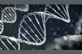 男性基因正在消失?两篇 Nature 揭示人类Y染色体的遗传奥秘……图片