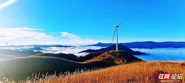 【每日一图@湖南】月夜风车与霞光云海同框？初冬的桂东万洋山做到了