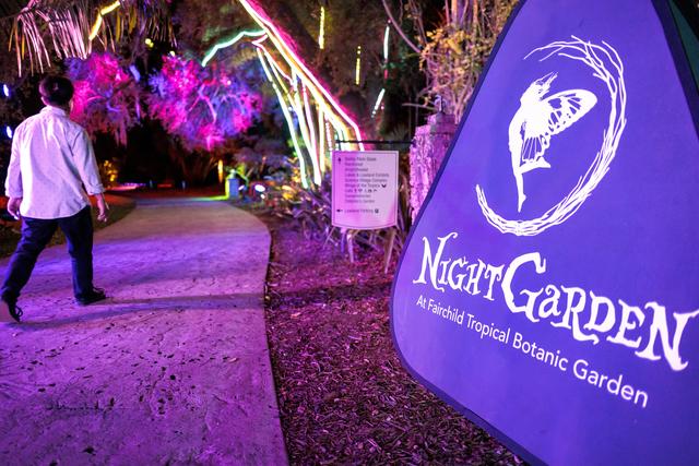 （外代二线）“夜间公园”灯光秀