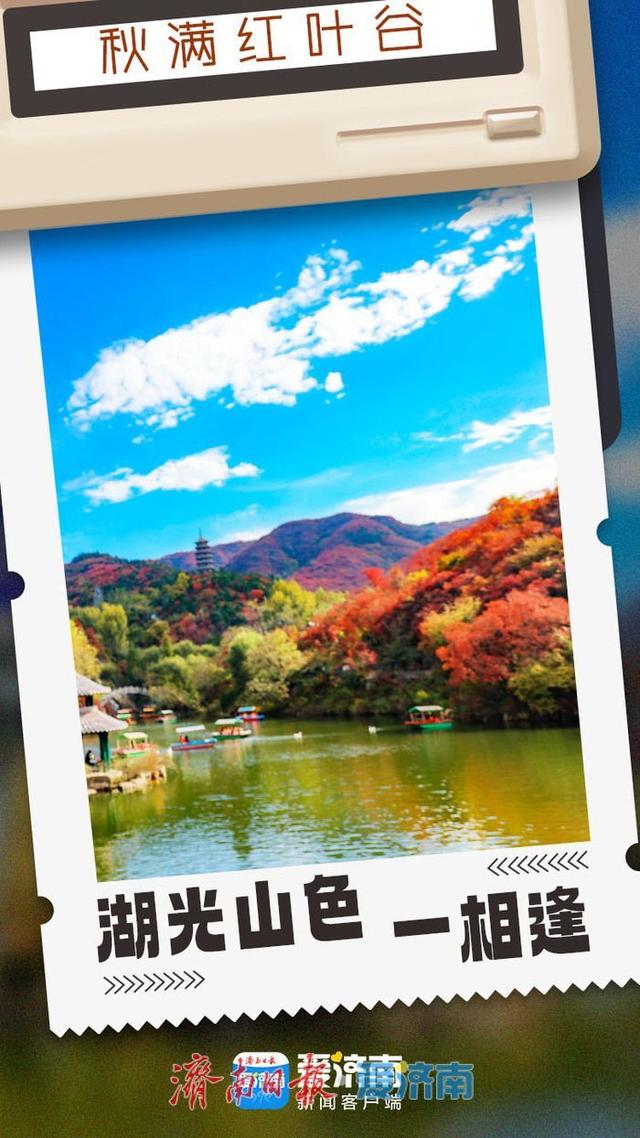 海报合集│济南红叶谷剪映深秋最美时光