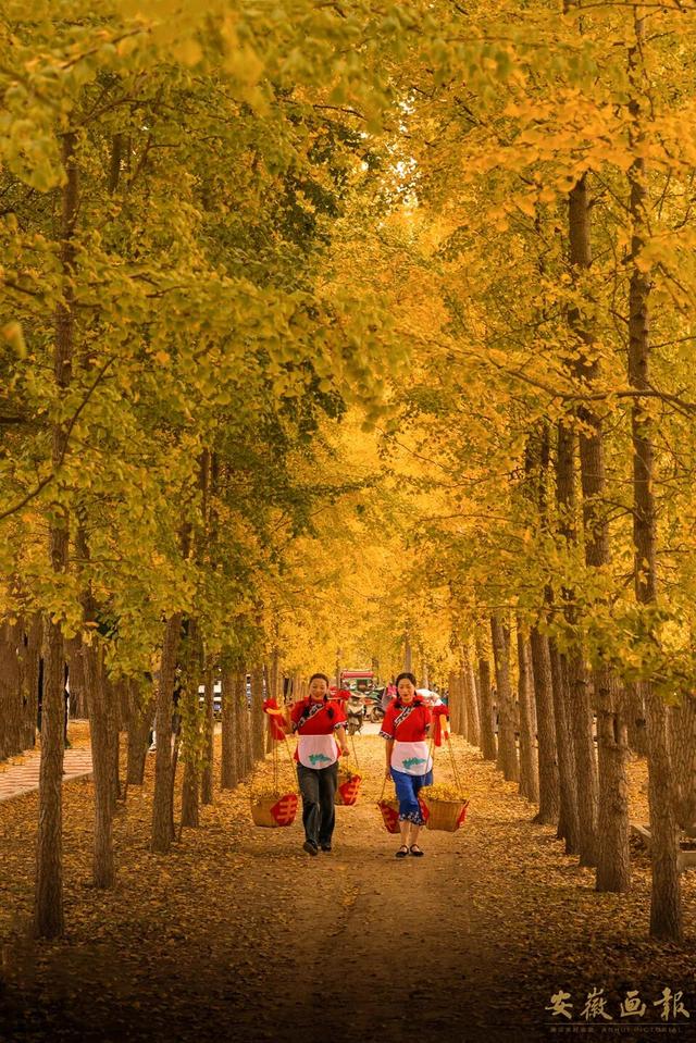 影像视觉 | 明光秋日长：嘉山秀水，自在明光