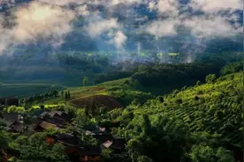 【美丽云南】甘饴山峦 茗韵景迈——世界遗产：普洱景迈山古茶林文化景观图片