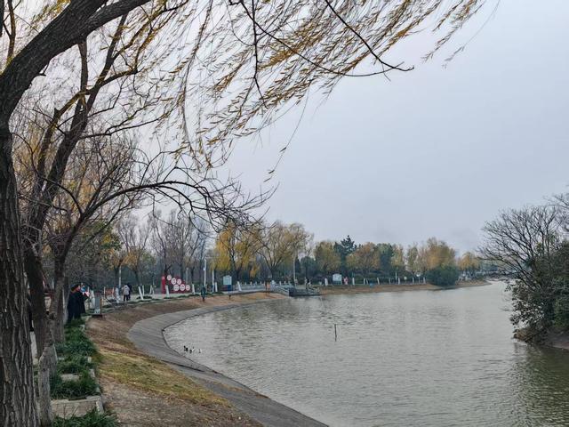 e路采风行，看见平顶山丨新华区：古韵新风交相映 活力城区入画来