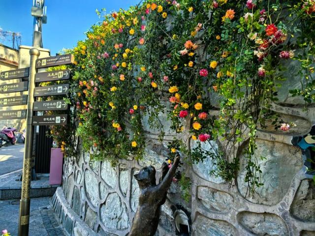 “花漾”漫染驼铃古道 北京石景山模式口打造十大花景