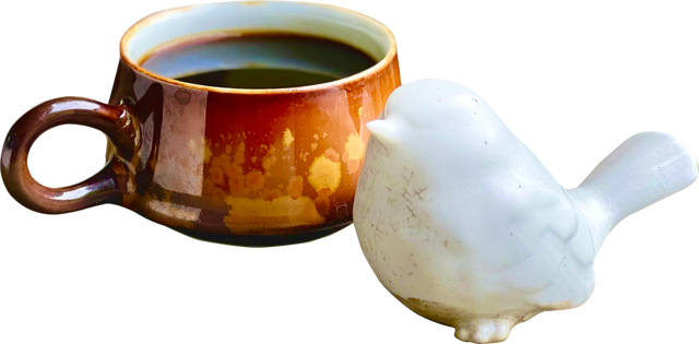 【新安夜空】第285期｜安宁：奥地利印象