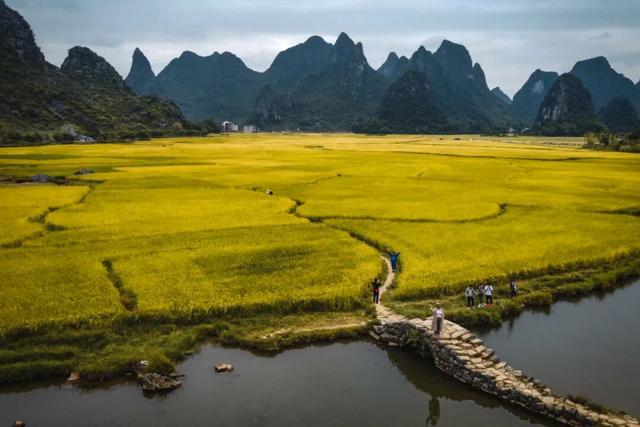 秋分至！桂林即将进入 “颜值巅峰期”，这些家门口的秋日盛景别错过！