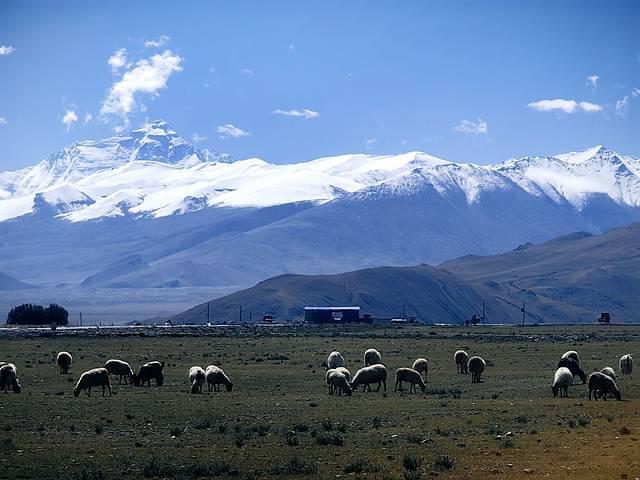 人生总要去一趟西藏吧（下）