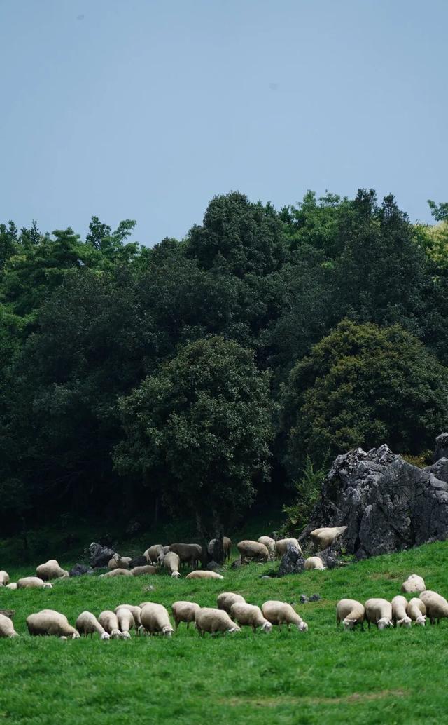 与大地同频呼吸！这个秋天，总要去寻甸草原秘境寻找下自己的“阿勒泰”时刻了