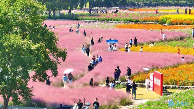 185.79万次奔赴！宿迁“双节”文旅市场“热力值”拉满