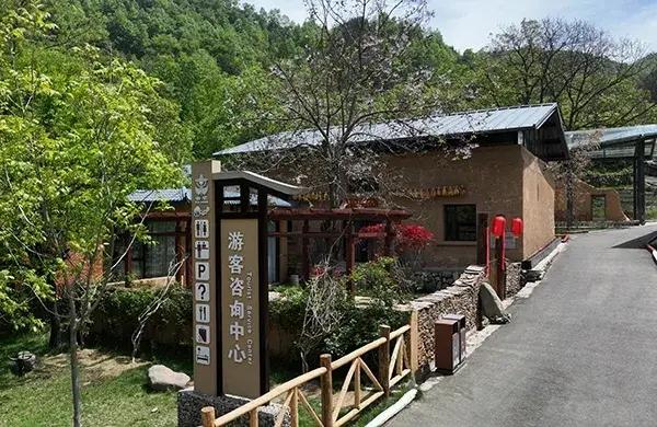 洛南音乐小镇、抚龙湖、溪乐谷民宿入选农业农村部夏季精品路线