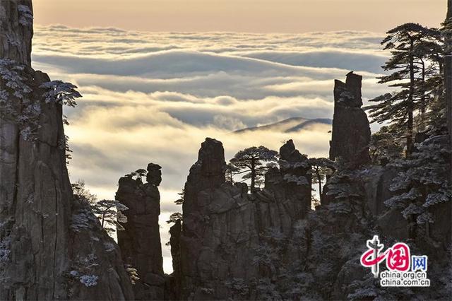 只有一个黄山：黄山雪后初霁景美如画(图)