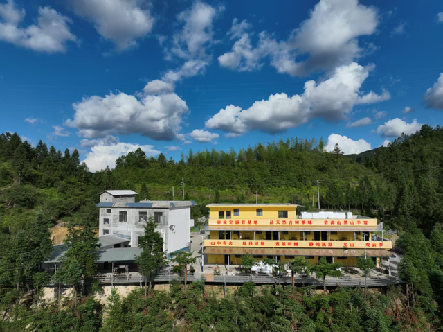 跟着民宿游遂川！赴一场百万候鸟的空中盛宴