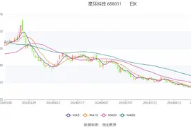 星环科技：2024年上半年亏损1.91亿元图片