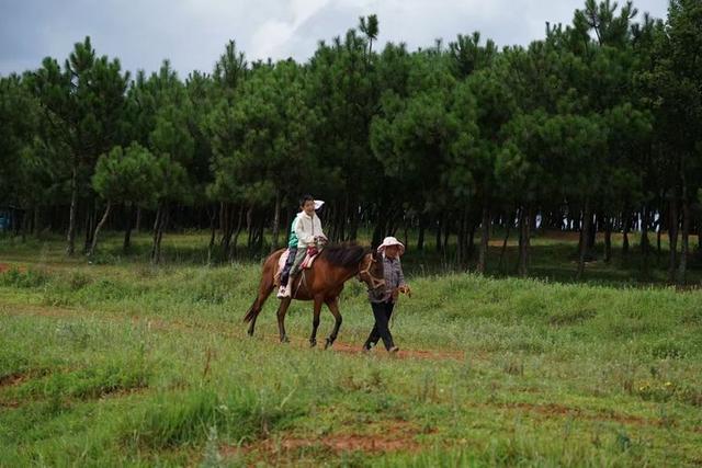 解锁昆明拾菌与旅居新体验——食亦蘑菇君畅谈云南生活新风尚