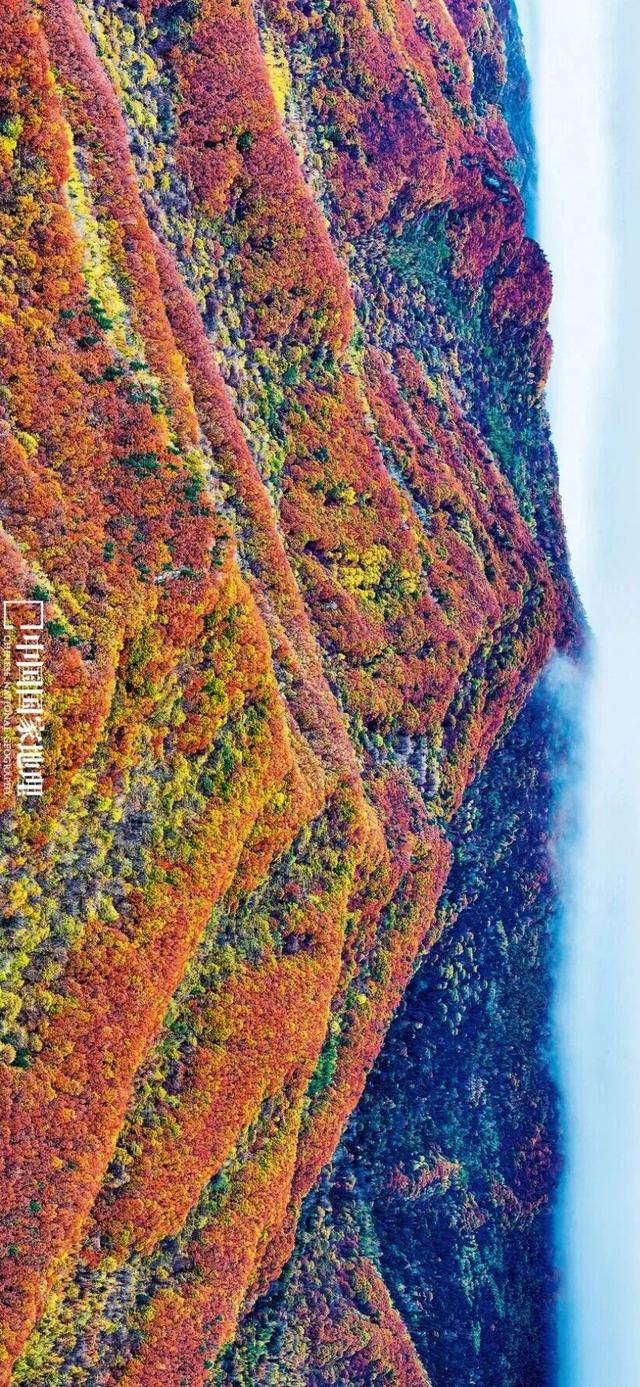 最被低估的秋景，一眼封神！