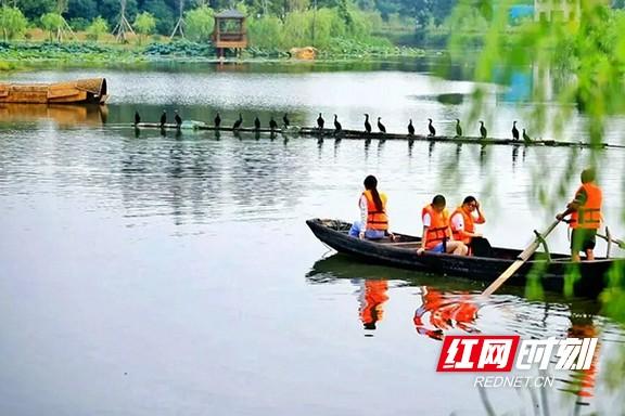 “益”起出发！益阳这5条旅游线路，承包你的精彩旅程