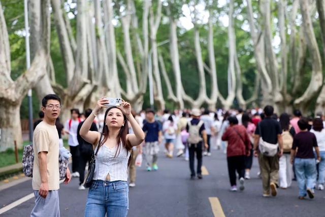 前方记者来报！这是今天的钟山风景区