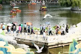 旅居云南 好在昆明图片