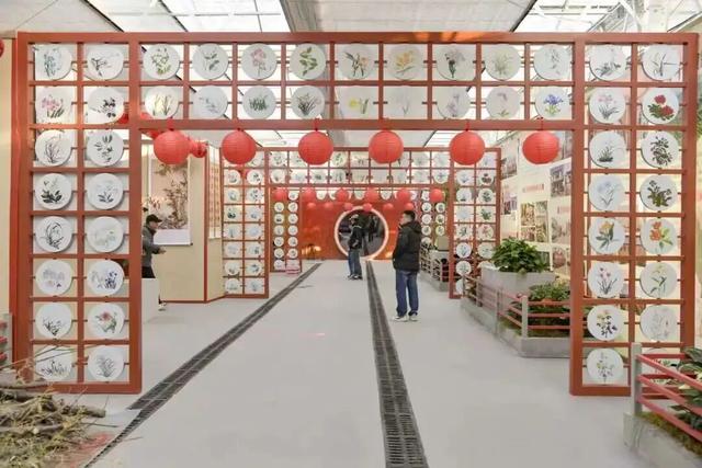 家庭园艺嘉年华｜北京兰花文化嘉年华将于明日启幕