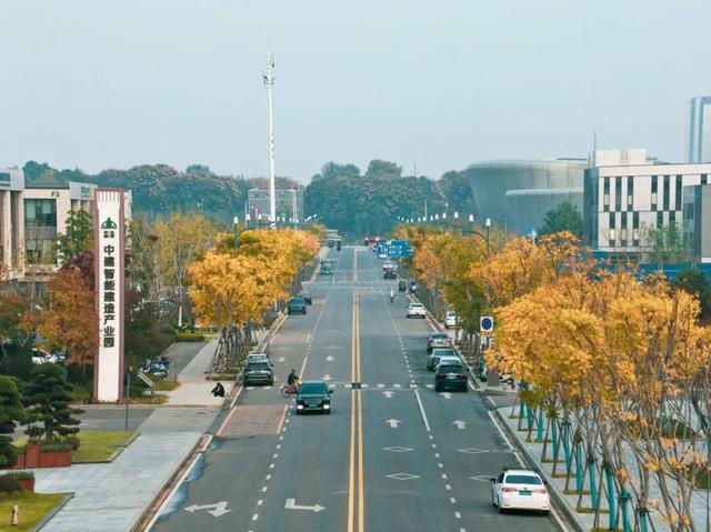 葛店这条“黄金大道”再不看就晚了！