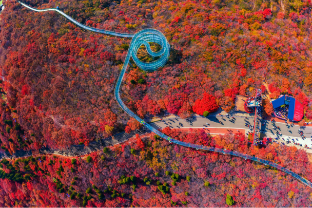 “黑马”红叶柿岩开业五年：解锁这家山岳型景区的逆袭之路