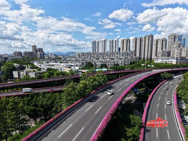 一大波“上新”！福州这一幕幕，太惊艳！不少人直呼“太好拍了”
