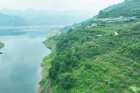 开阳县龙水乡：枇杷产业鼓起果农“钱袋子” 激活乡村振兴新动能图片