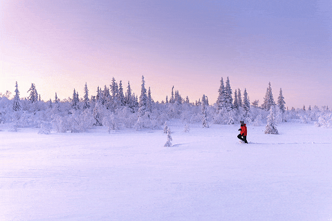 拯救年底焦虑，“发呆旅行”成为瑞典新解药