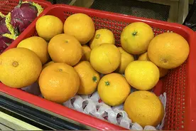 市场解码丨爱媛开市价涨了一倍，四川晚熟柑橘今年为啥贵？图片