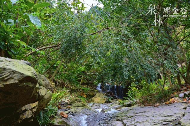 玩水撒欢、赛车狂飙、云端飞行、山林溯溪……江门这个宝藏打卡地承包夏日狂欢
