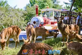 超全打卡姿势！请收下这份济南野生动物世界一日游攻略图片