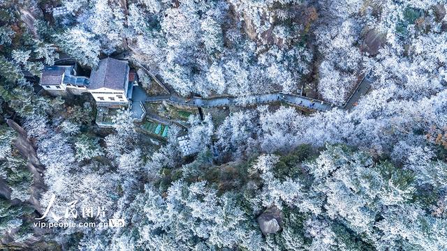 安徽池州：九华山雾凇美景迷游人