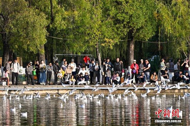 立冬节气 昆明天气晴好暖如春