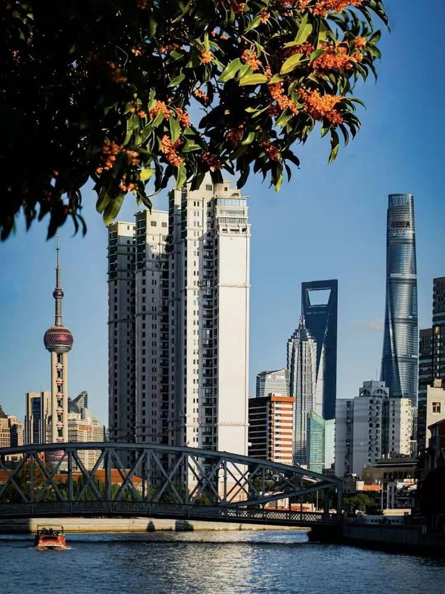 最佳季节！上海市中心也有人少景美骑行线