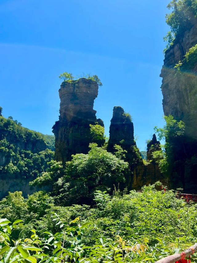 夏日避暑指南 | 兴隆山，邂逅21°的清凉