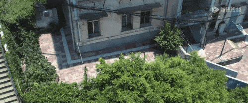 闽人智慧丨从取景地到造梦地，鹭岛独特的“电影感”从何而来