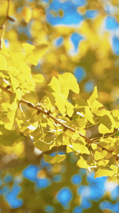 此刻，闽侯的“含金量”还在不断上升！