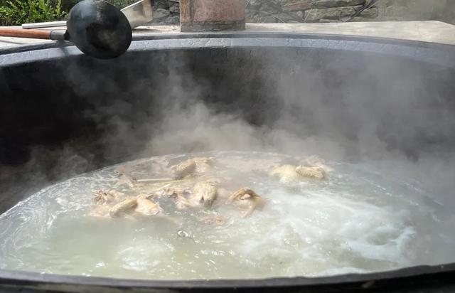 四门洞寻萤记丨本周末继续承包你的夏日快乐！