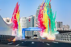 联动东江两岸新动脉，鹅城大桥正式通车！图片