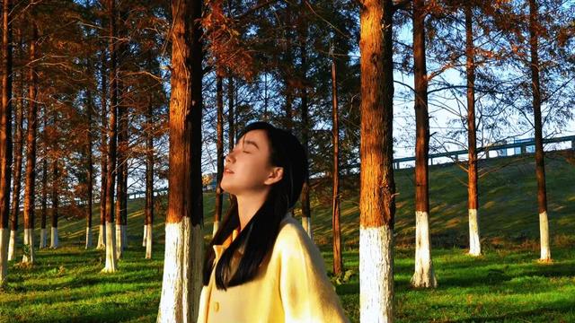 这片“童话森林”，红得如此烂漫！