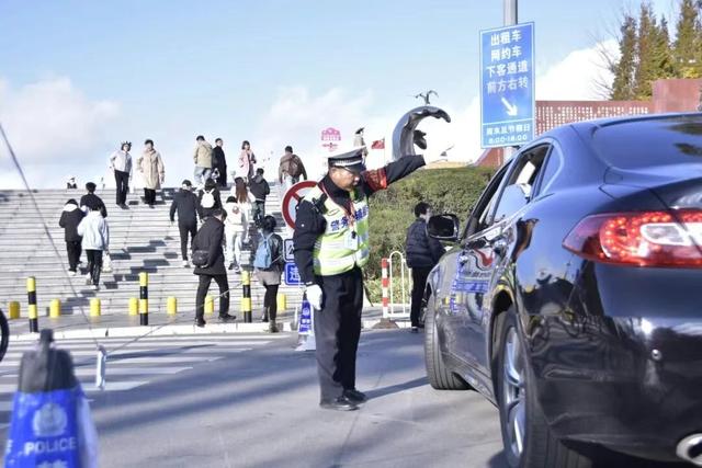 来昆观鸥！这样不堵！