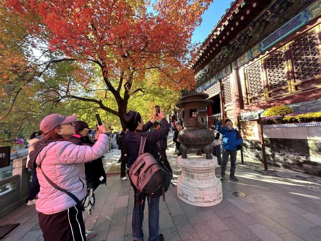 层林尽染正当时，香山公园进入红叶最佳观赏期