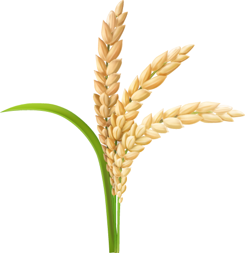 没人觉得龙岗的能量场很高吗？