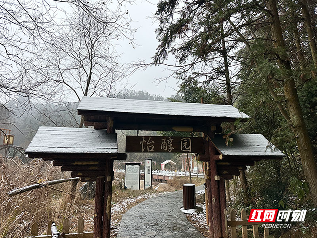 组图丨初雪映湖山，攸县酒仙湖一夜“银装素裹”