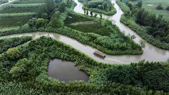 江苏泗洪：游览湿地 荡舟水上
