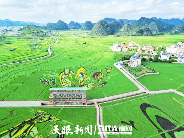安顺平坝：“凉资源”撬动“热经济”