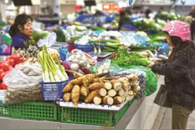 新鲜冬笋上市图片